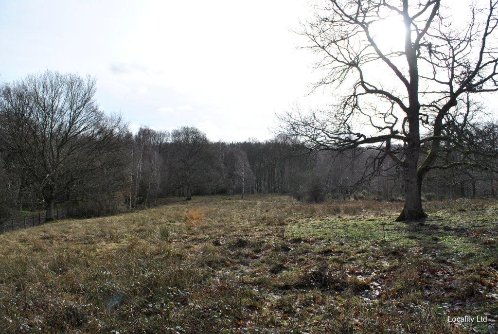 Derwent Gorge and Muggleswick Woods  NNR nature reserve (Durham)